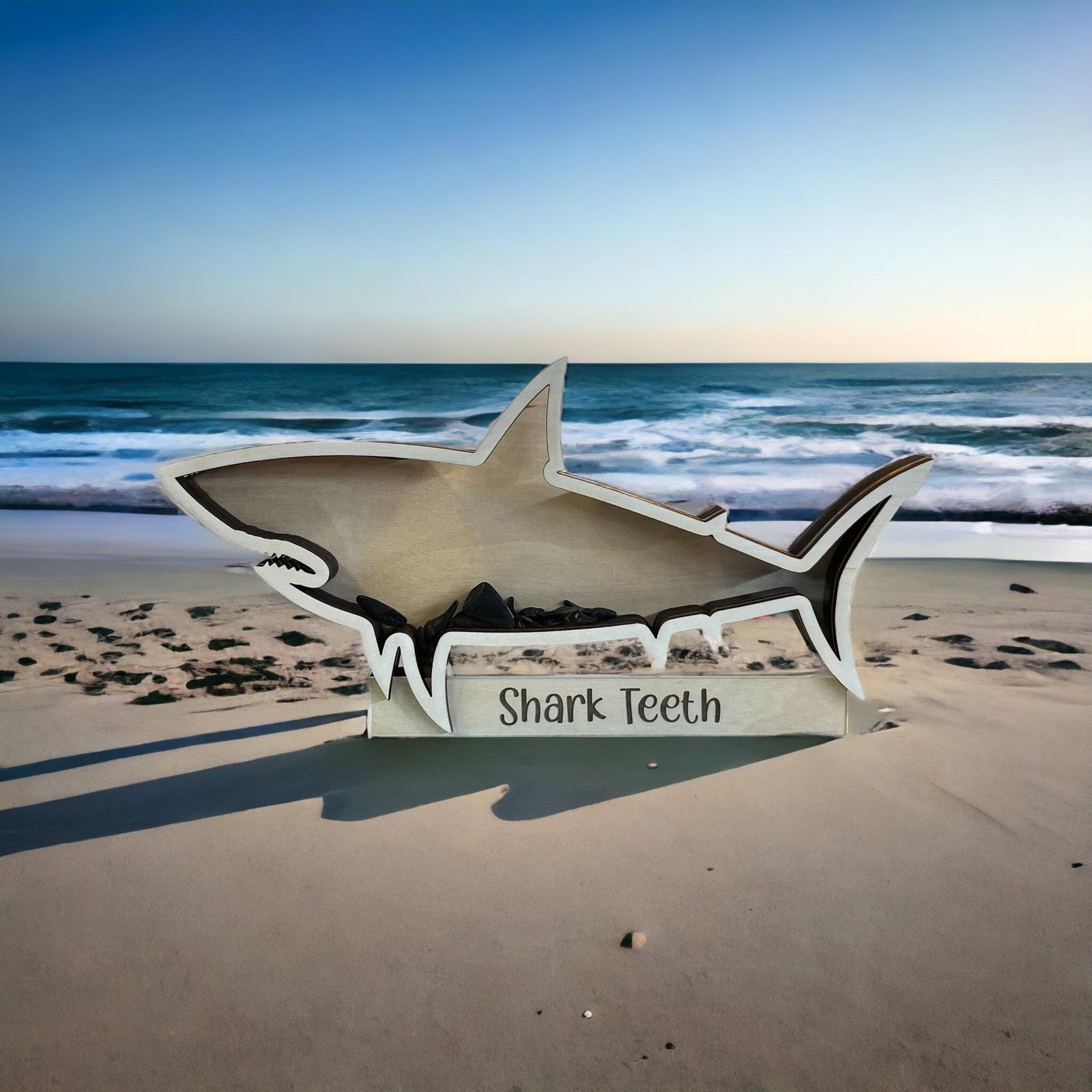 Shark Tooth collection Shark Teeth Shadow Box Beach Home decor (12 inch)