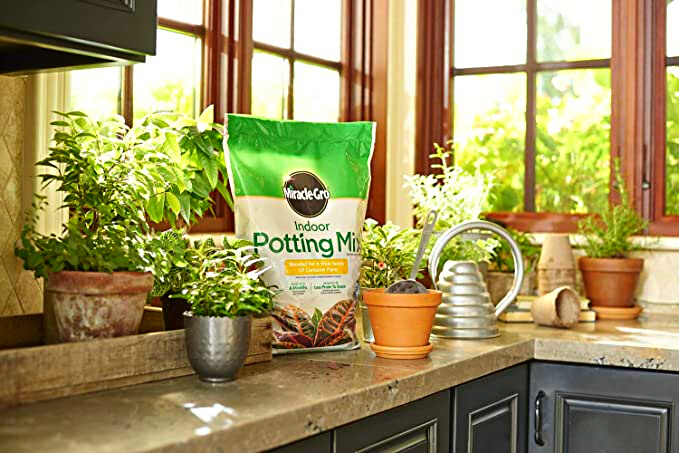 Miracle-Gro Indoor Potting Mix - 6 qt., Miracle-Gro Indoor Plant Food - 8 Oz, and Miracle-Gro Leaf Shine - 8 Oz (Bundle)