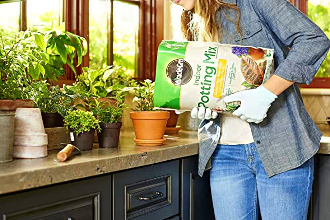 Miracle-Gro Indoor Potting Mix - 6 qt., Miracle-Gro Indoor Plant Food - 8 Oz, and Miracle-Gro Leaf Shine - 8 Oz (Bundle)