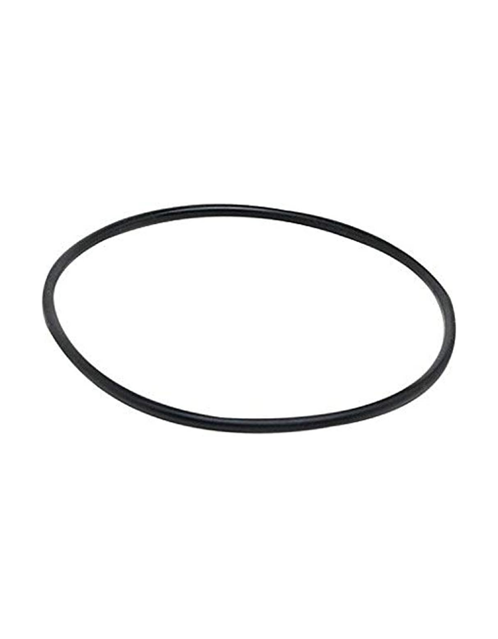 Fluval 104, 105, 204, 205, 106, 206 (A-20038) Replacement Motor Seal Ring