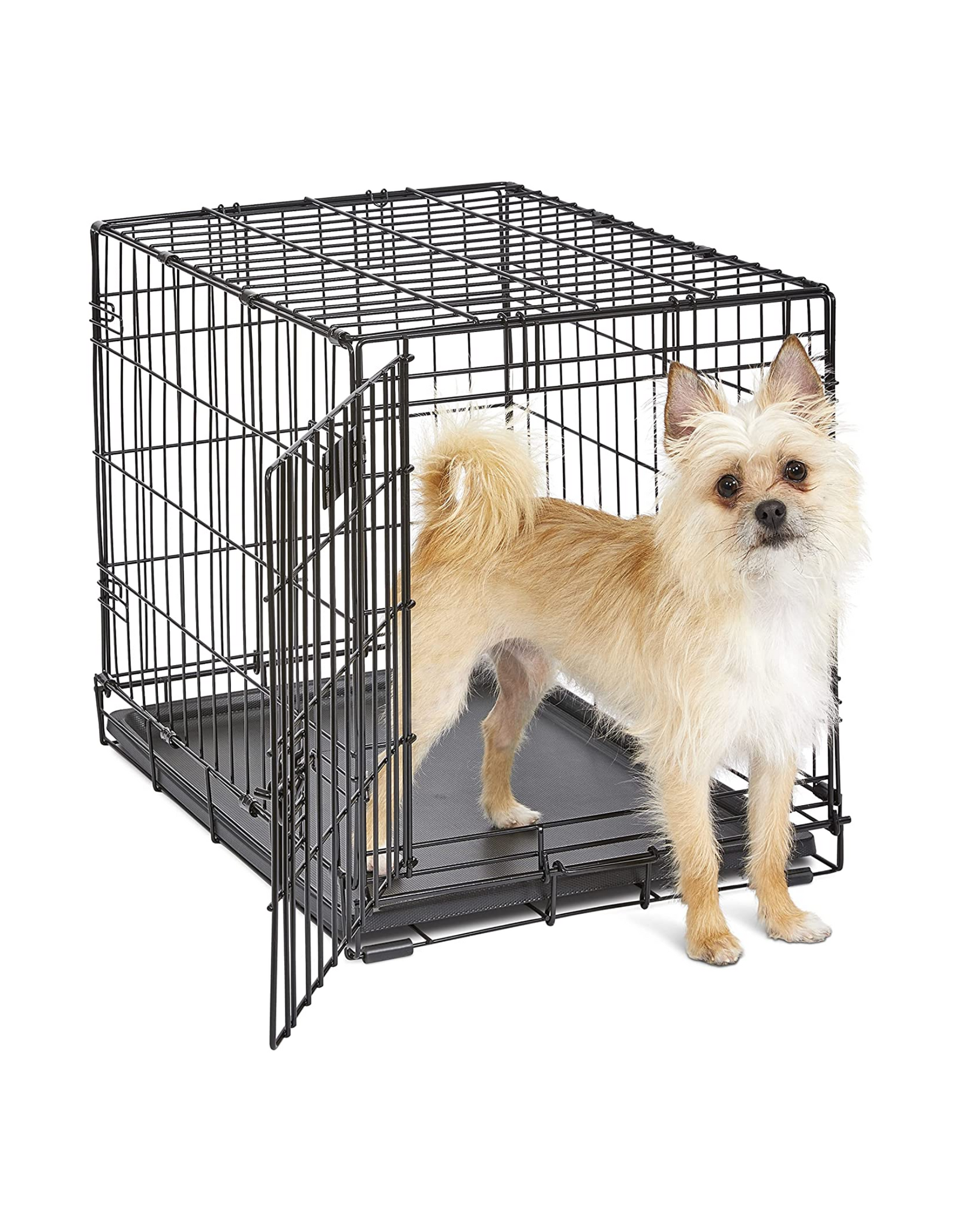 MidWest Homes for Pets Newly Enhanced Single Door 24 Inch with Divider iCrate Dog Crate, Includes Leak-Proof Pan