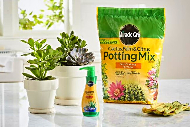 Miracle-Gro Cactus, Palm & Citrus Potting Mix, 8 qt. and Miracle-Gro Succulent Plant Food, 8 Oz