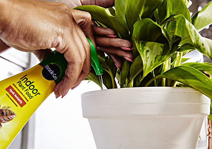 Miracle-Gro Indoor Plant Food, 8 Oz - Instantly feeds all indoor houseplants